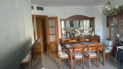 Apartment in El Ejido Center photo 7