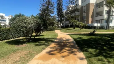 Apartment in Playa del Golf photo 5
