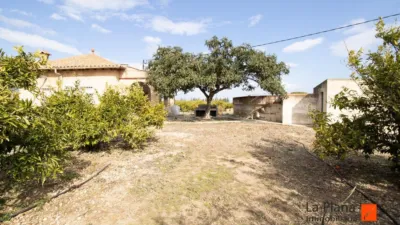 Rustic property in Rústica photo 10