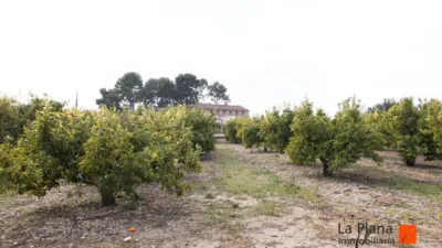 Rustic property in Rústica photo 8