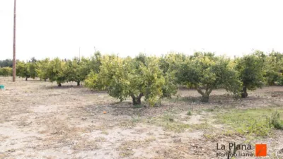 Rustic property in Rústica photo 9
