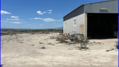 Rustic Finca in La Matanza photo 2
