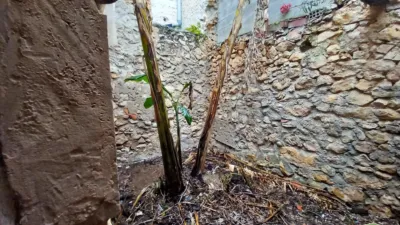 Casa en Alcanar photo 36