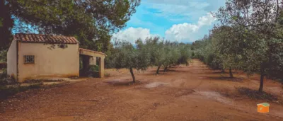 Rustic Finca in Rústica photo 12