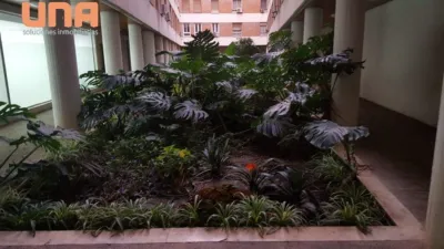 Piso en alquiler en Centro, Centro (Córdoba Capital) de 800 €<span>/mes</span>