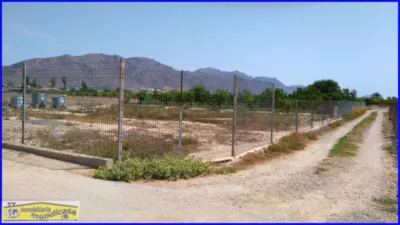 Rustic finca in Santomera photo 4