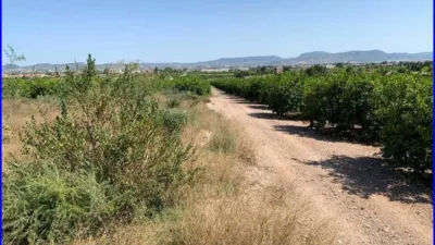Rustic Finca in Los Mauricios photo 6