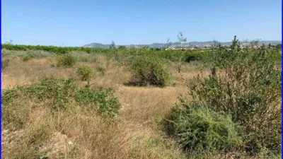 Rustic Finca in Los Mauricios photo 7
