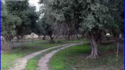 Rustic farm in Matanzas photo 3