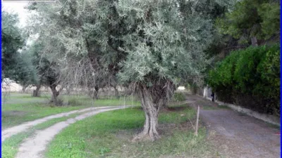 Rustic farm in Matanzas photo 4