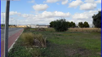 Rustic farm in Matanzas photo 5