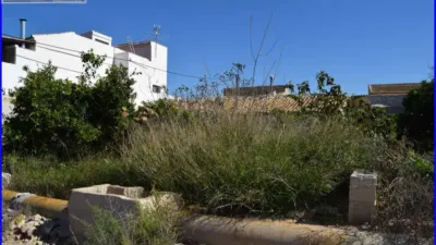 House for sale in La Matanza, Orihuela. This property comprises a residential house of 152 m² and a separate commercial unit with storage space of 142 m² built area, both situated on a 1000 m² plot. The residence features three double bedrooms, one single bedroom, a living room, a sitting room, an equipped kitchen, one bathroom, and a patio with a laundry area. The commercial and storage building is fully finished. Interior joinery is made of sapeli wood, it has an east-facing orientation, porcelain tile flooring, and exterior joinery combining aluminium and wood. Extras include water, electricity, furniture, terrace, and storage room. Located close to medical centres, rural amenities, supermarkets, and pharmacies. photo 23
