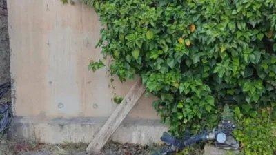 Rustic Finca in Purchena photo 30