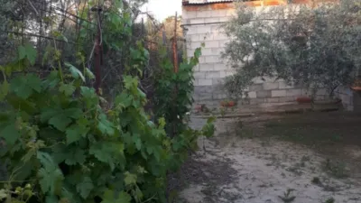 House in Tijola photo 19