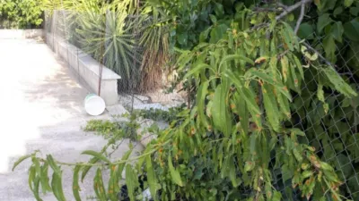 Rustic Farmhouse in Centro photo 4