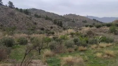 Rustic finca in Purchena photo 27