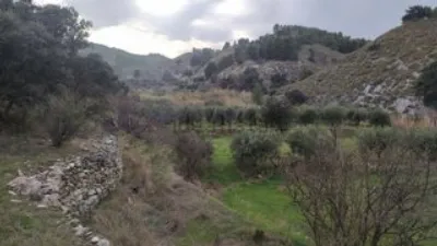 Rustic finca in Purchena photo 28