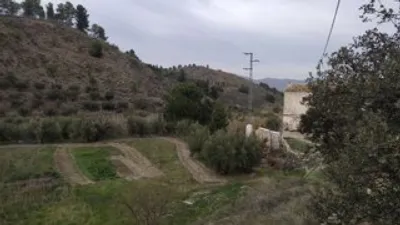 Rustic finca in Purchena photo 29