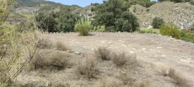 Rustic finca in Purchena photo 2