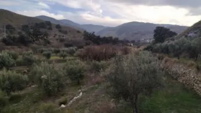 Rustic finca in Purchena photo 30