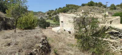 Rustic finca in Purchena photo 3