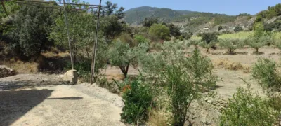 Rustic finca in Purchena photo 8