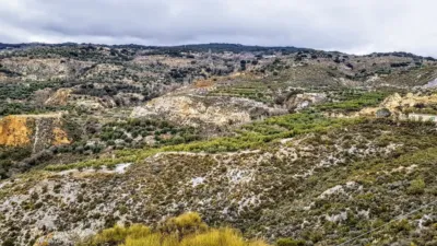 Rustic Finca in Laroles photo 24