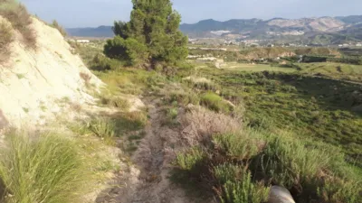 Rustic finca on Calle Paraje los Molinos photo 4