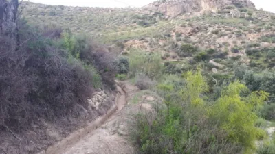 Rustic finca on Calle Paraje los Molinos photo 6