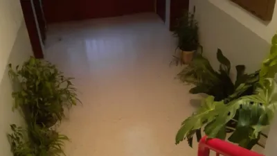 Apartment in Serón photo 4