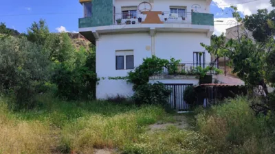 Rustic Finca in the Outskirts photo 3