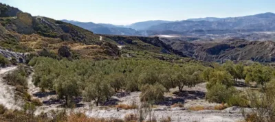 Rustic Finca in Laroles photo 33