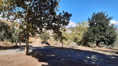 Rustic Finca in Laroles photo 38