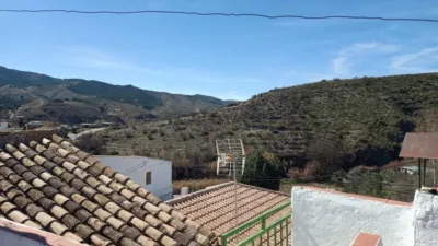 House in Los Zoilos photo 38