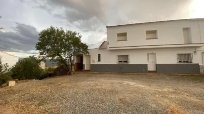 Rustic Finca in Hijate photo 2