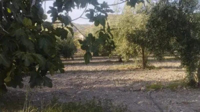 Rustic Finca in Lúcar photo 10