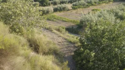 Rustic Finca in Lúcar photo 11