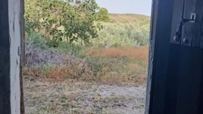 Rustic Finca in Lúcar photo 25