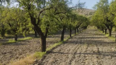 Rustic Finca in Lúcar photo 8