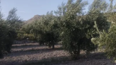Rustic Finca in Lúcar photo 9