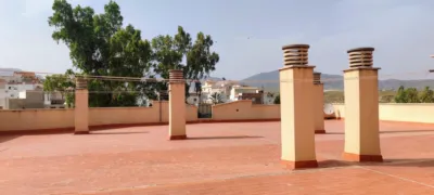 Apartment in Olula del Río photo 30