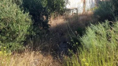 Rustic Finca in Pueblo photo 2