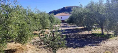 Rustic finca in Macael photo 3