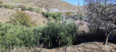 Rustic finca in Macael photo 5