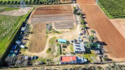 Finca rústica en Nueva Alcalá photo 19