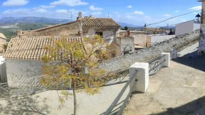 House in the Village photo 3