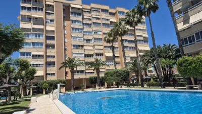 Piso – Alacant / Alicante, l'Albufereta, l'Alacantí - Vista 3