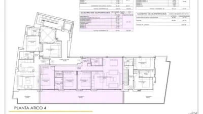 Penthouse on Calle de Patricio Zammit photo 21