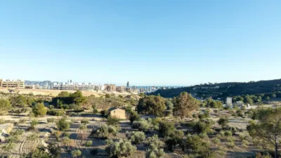 Penthouse on Calle Ávila photo 50