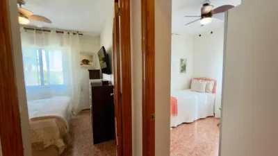 Casa adosada en venta en Calle de la Paloma, La Siesta-El Salado-Torreta-El Chaparral (Torrevieja) de 209.000 €